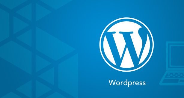 WordPress Development Alton